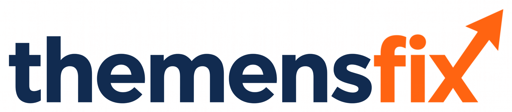 TheMensFix